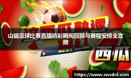 山猫足球比赛直播精彩瞬间回顾与赛程安排全攻略