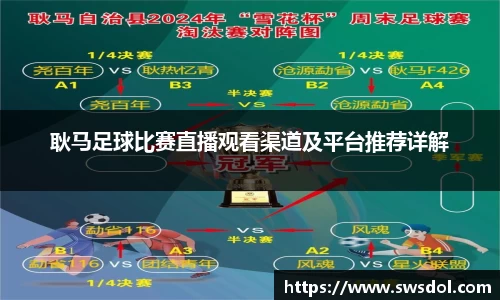 耿马足球比赛直播观看渠道及平台推荐详解