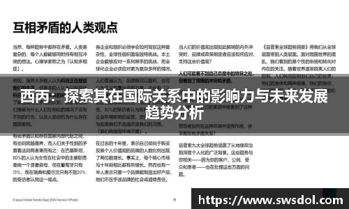 西丙：探索其在国际关系中的影响力与未来发展趋势分析